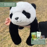 Pandou le Panda