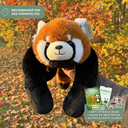 Poidsou™ – Peluche Lestée