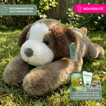 Poidsou™ – Peluche Lestée