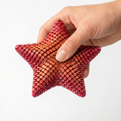 Sensorstar – Étoile Fidget Magique
