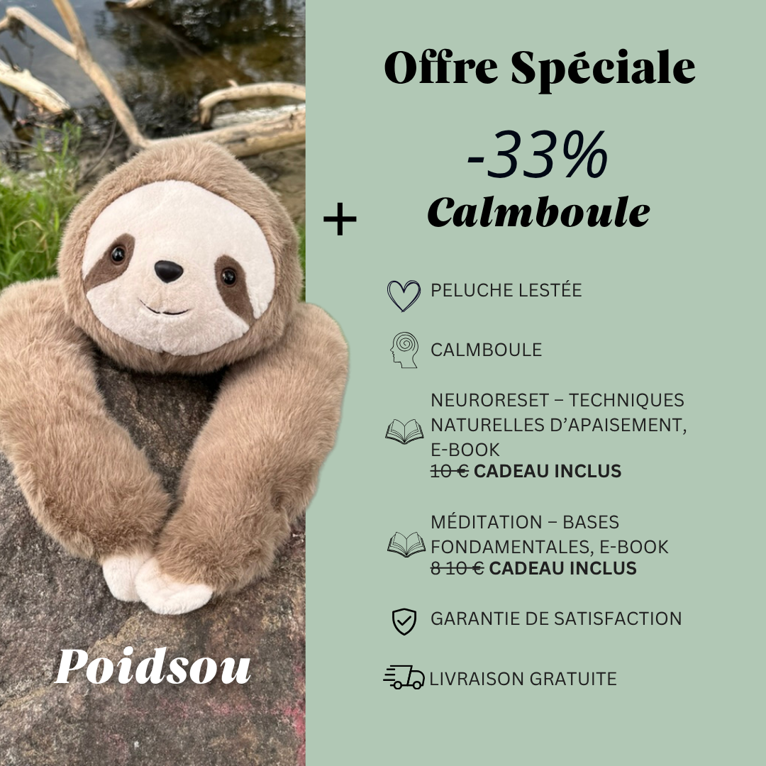 Calmboule™ – Billes Magnétiques Fidget