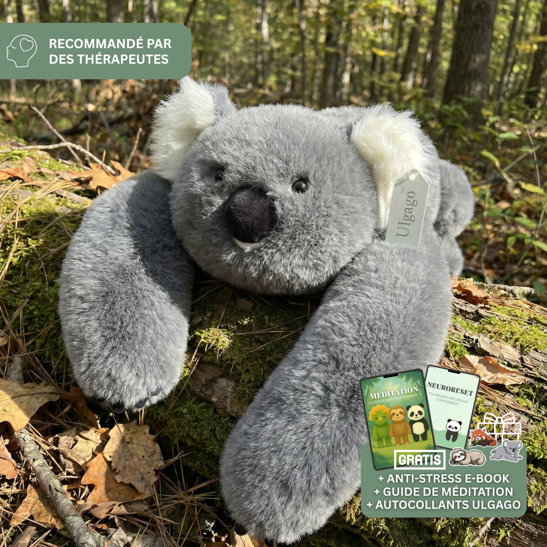 Poidsou™ – Peluche Lestée