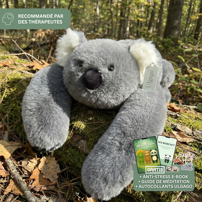 Poidsou™ – Peluche Lestée