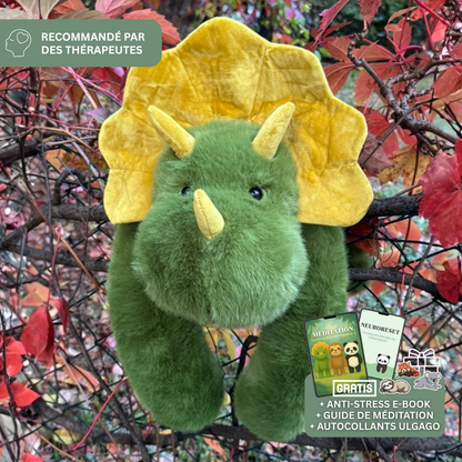 Poidsou™ – Peluche Lestée